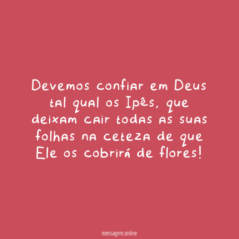 Devemos confiar em Deus tal qual os Ipês