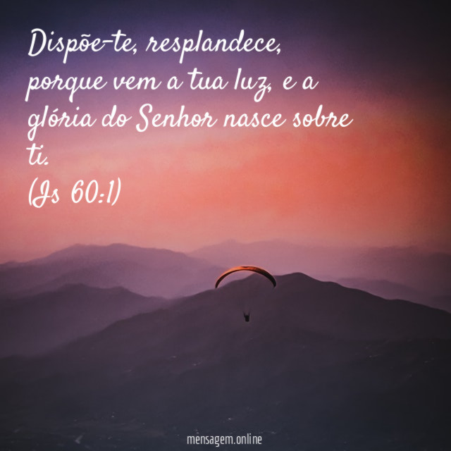 Dispõe-te