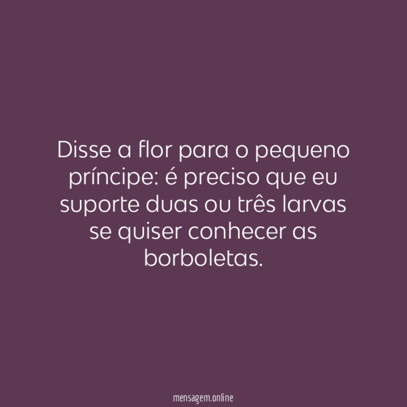 Disse a flor para o pequeno príncipe
