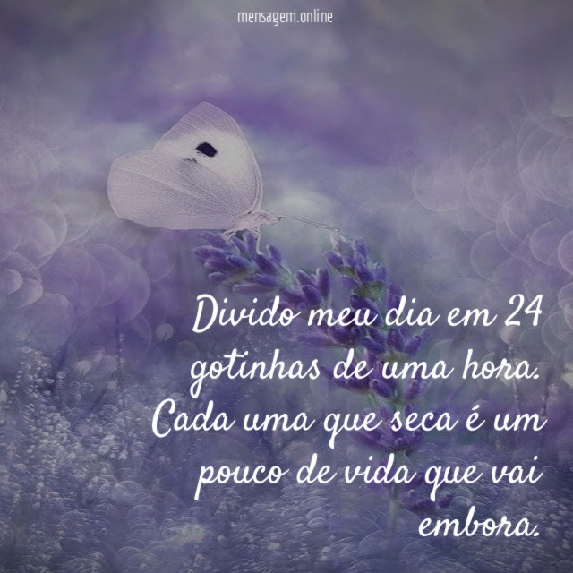 Divido meu dia em 24 gotinhas de uma hora