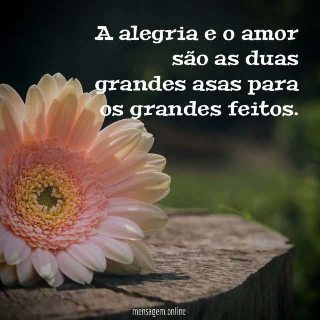 Duas Grandes Asas