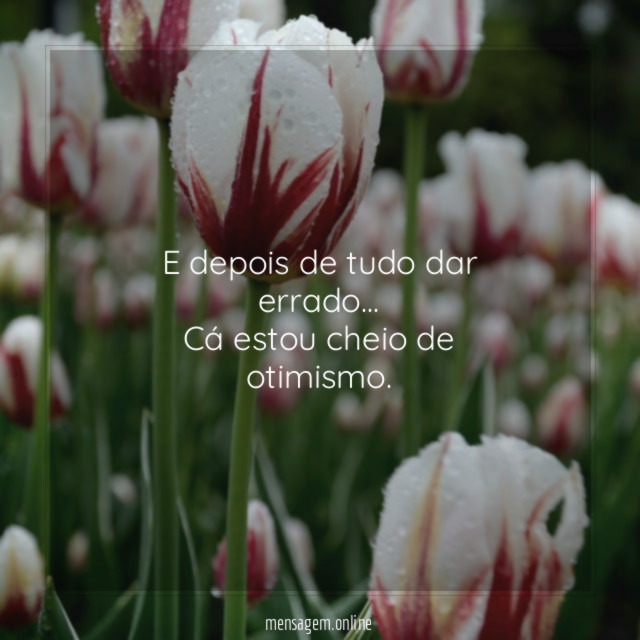 E depois de tudo dar errado