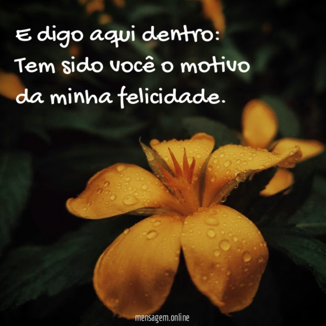 E digo aqui dentro