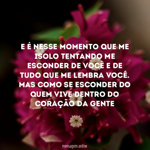 E é nesse momento que me isolo tentando
