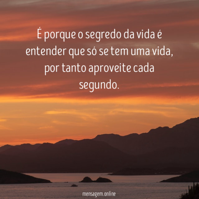 É porque o segredo da vida é entender que só se tem uma vida