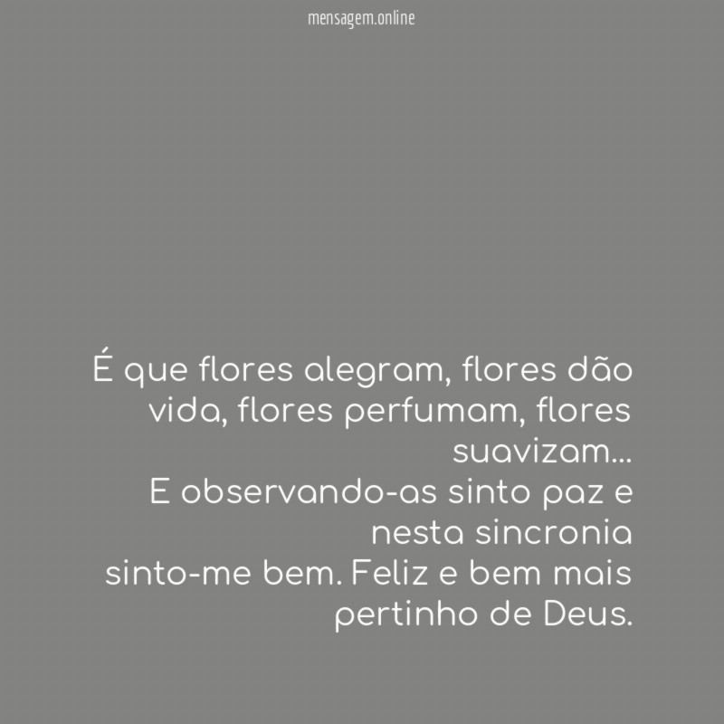 É que flores alegram