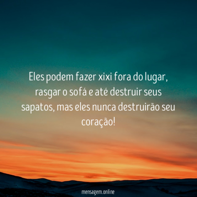 Eles podem fazer xixi fora do lugar
