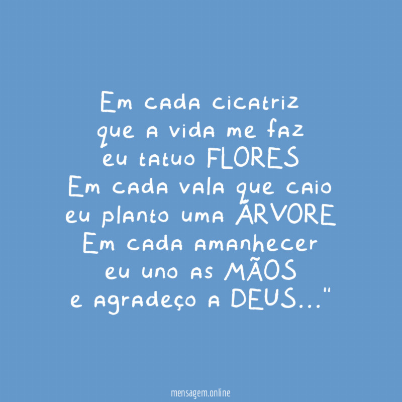 "Em cada cicatriz
que a vida me faz
eu tatuo FLORES
Em cada vala que caio
eu planto uma ÁRVORE
Em cada amanhecer
eu uno as MÃOS
e agradeço a DEUS…"