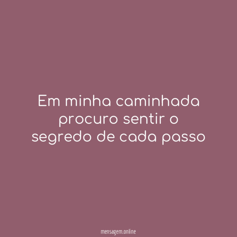 Em minha caminhada procuro sentir o segredo de cada passo
