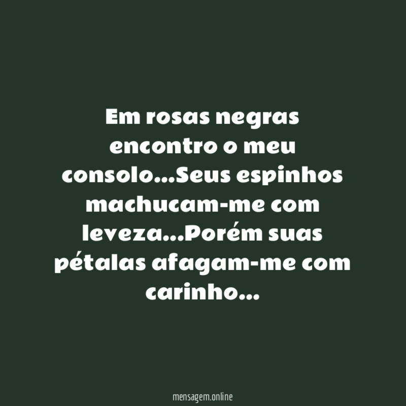 Em rosas negras encontro o meu consolo