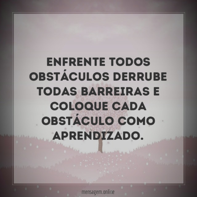 Enfrente todos obstáculos derrube todas barreiras e coloque