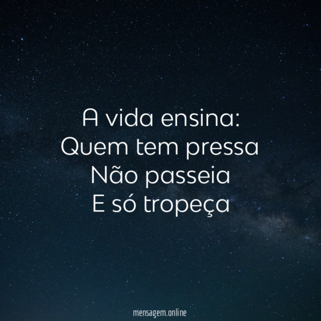 Ensinamentos da vida