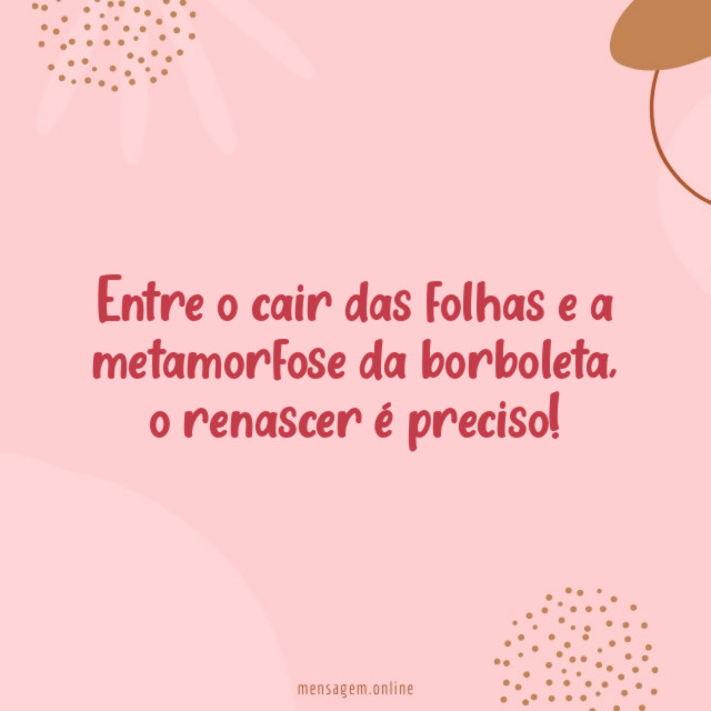 Entre o cair das folhas e a metamorfose da borboleta