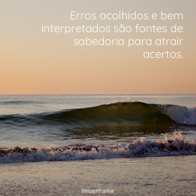 Erros acolhidos e bem interpretados são fontes de