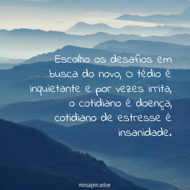 Escolho os desafios em busca do novo