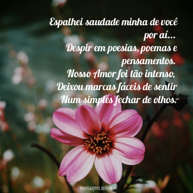Espalhei saudade minha de você por aí