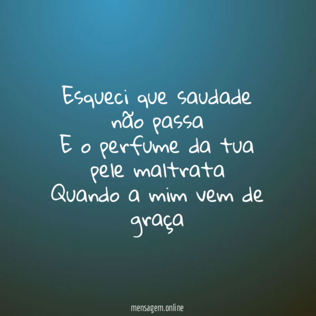 Esqueci que saudade não passa E o perfume da