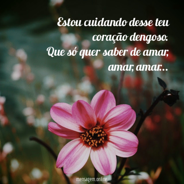 Estou cuidando desse teu coração dengoso