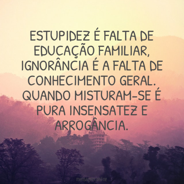 ESTUPIDEZ É FALTA DE EDUCAÇÃO FAMILIAR