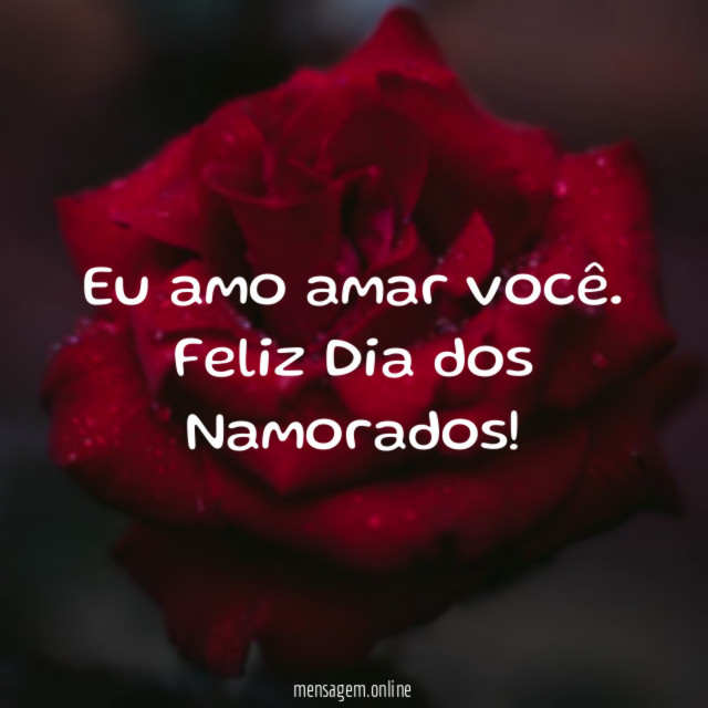 Eu amo amar você