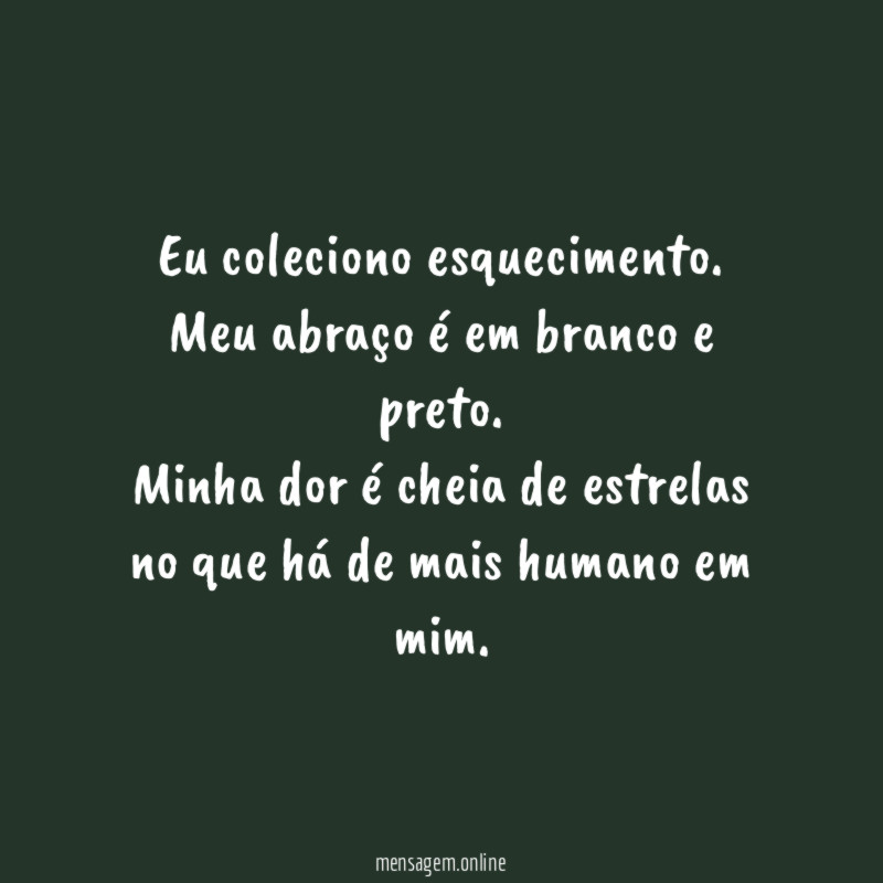 Eu coleciono esquecimento