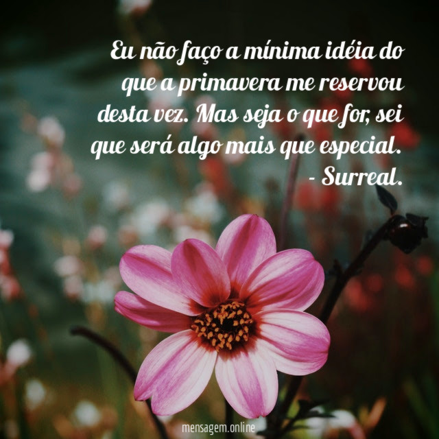 Eu não faço a mínima idéia do que