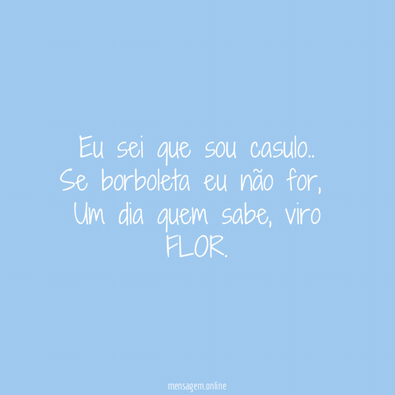 Eu sei que sou casulo..
Se borboleta eu não for,
Um dia quem sabe, viro
FLOR.