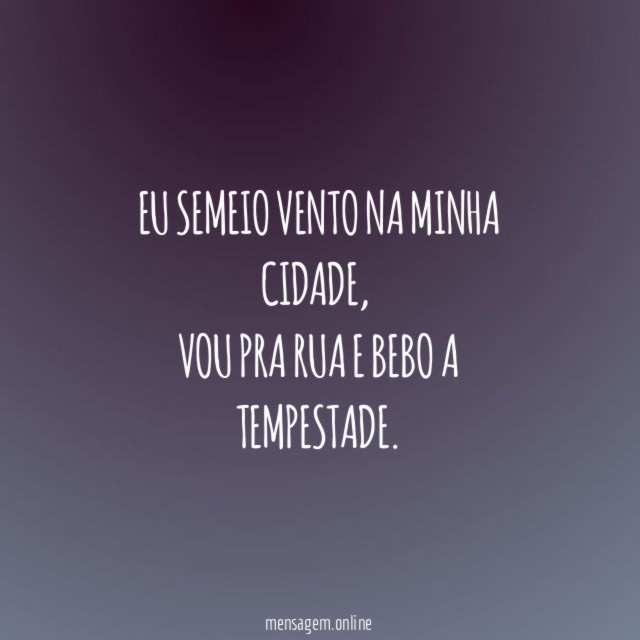 Eu semeio vento na minha cidade