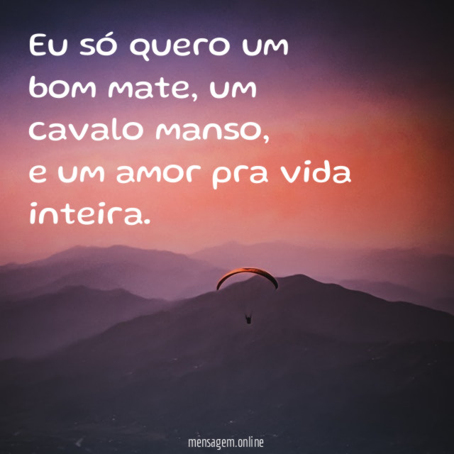 Eu só quero um bom mate