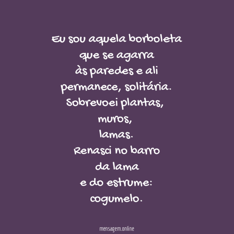 Eu sou aquela borboleta
que se agarra
às paredes e ali
permanece, solitária.