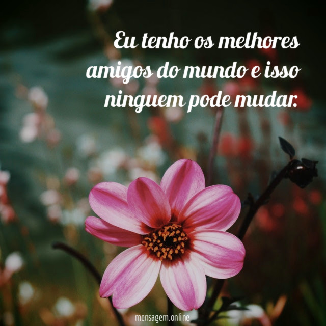 Eu tenho os melhores amigos do mundo e isso ninguem pode mudar