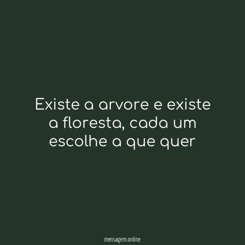 Existe a arvore e existe a floresta