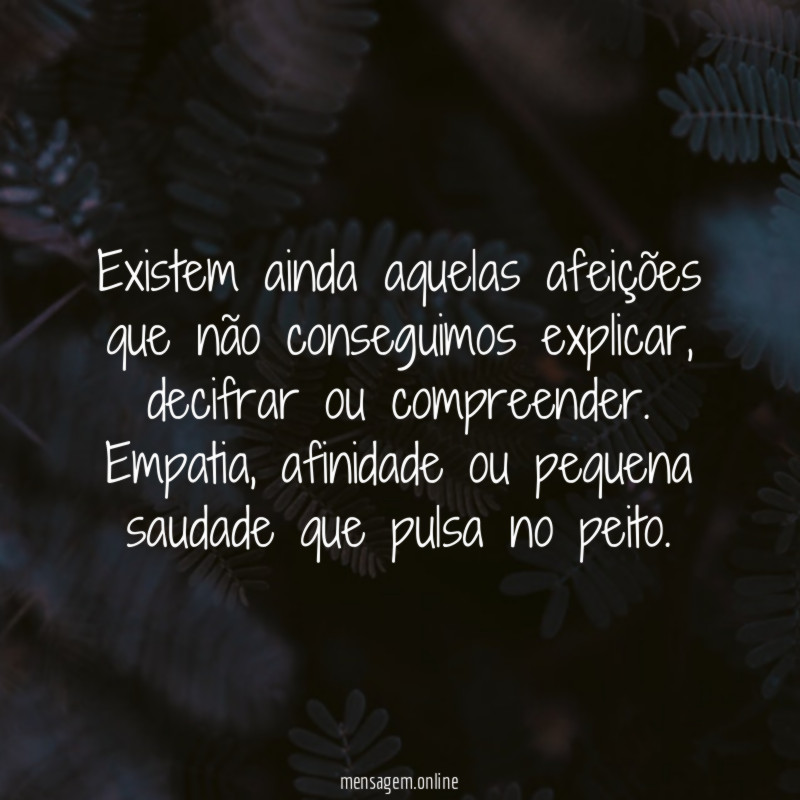 Existem ainda aquelas afeições que não conseguimos explicar