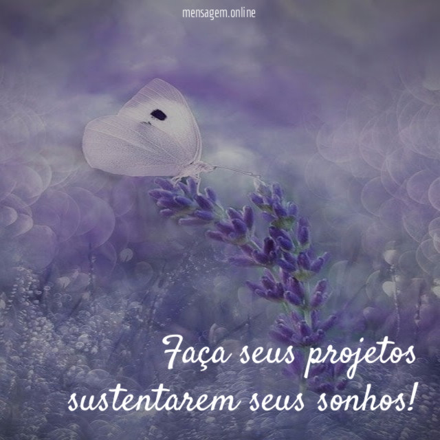 Faça seus projetos sustentarem seus sonhos