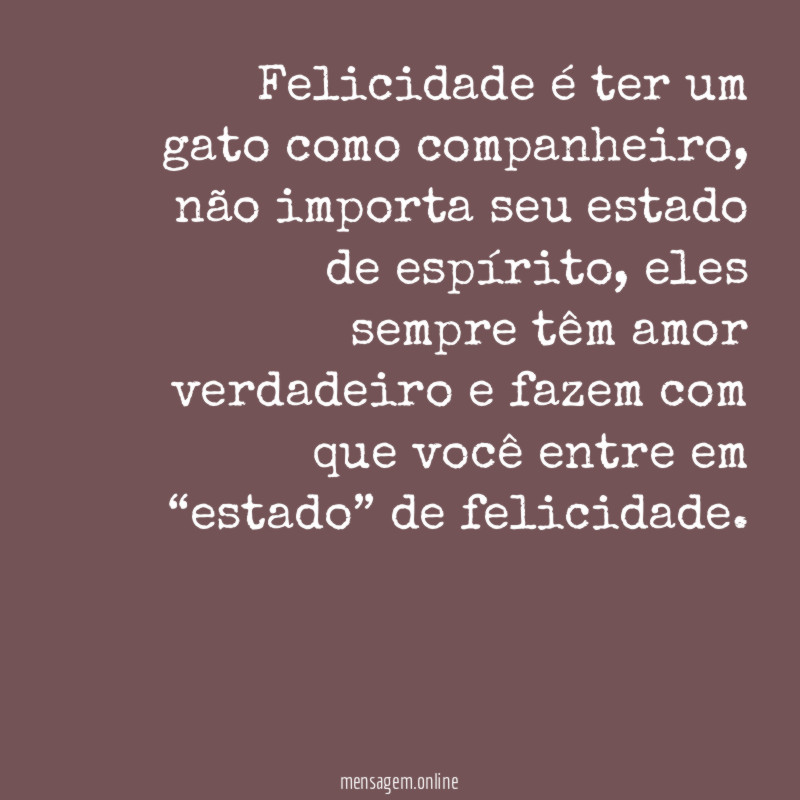 Felicidade é ter um gato como companheiro