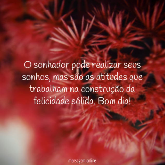 Felicidade sólida
