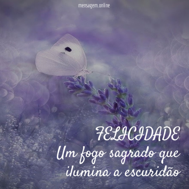 FELICIDADE Um fogo sagrado que ilumina a escuridão