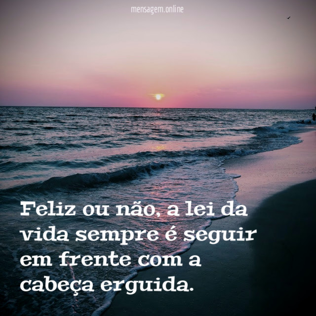 Feliz ou não, a lei da vida sempre é seguir