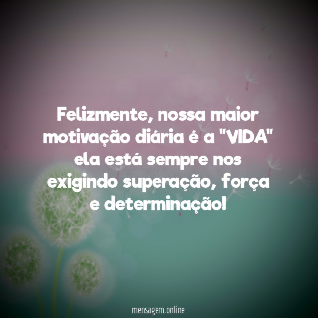 Felizmente