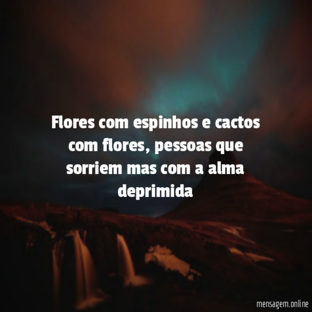 Flores com espinhos e cactos com flores