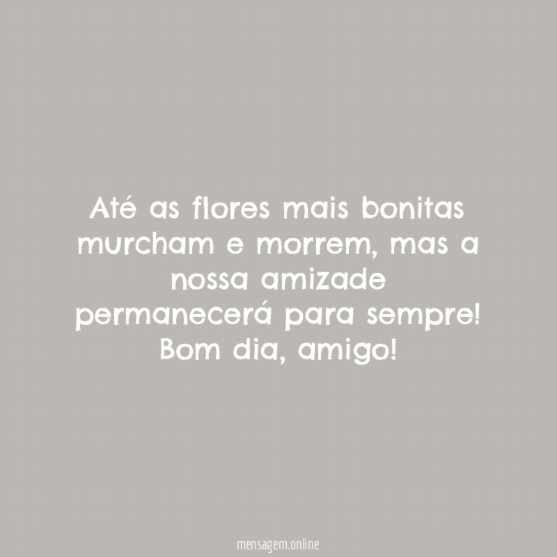 Flores mais bonitas