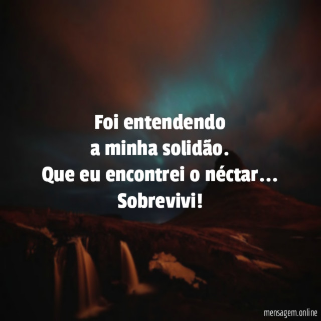 Foi entendendo a minha solidão