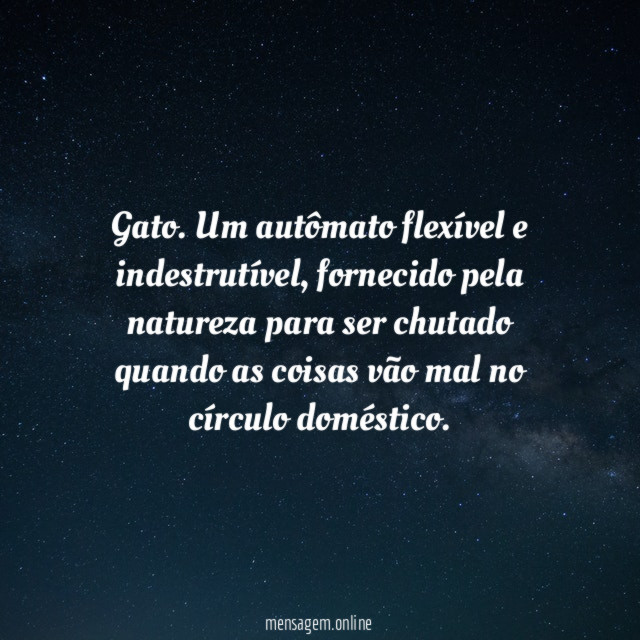Gato