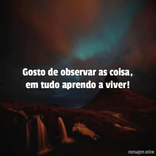 Gosto de observar as coisa