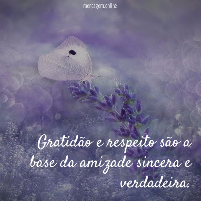 Gratidão e respeito são a base da amizade