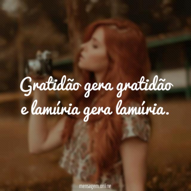 "Gratidão gera gratidão e lamúria gera lamúria