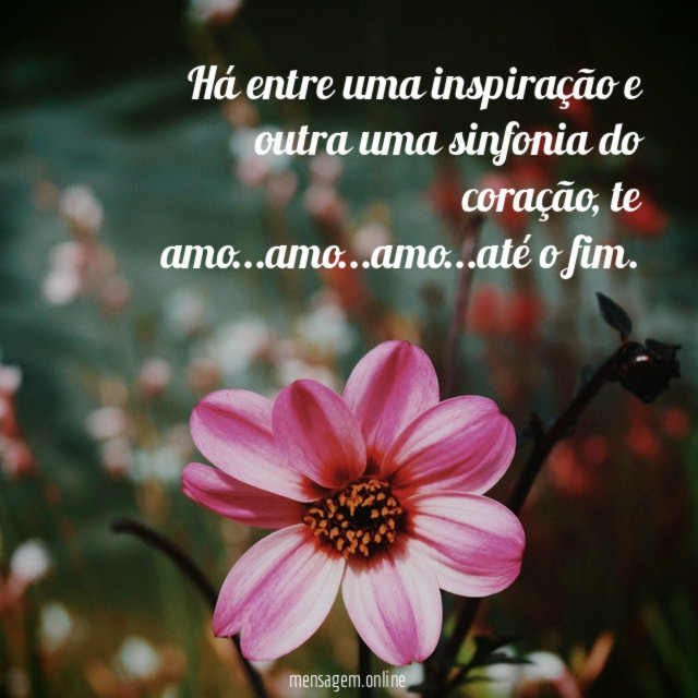 Há entre uma inspiração e outra uma sinfonia do coração