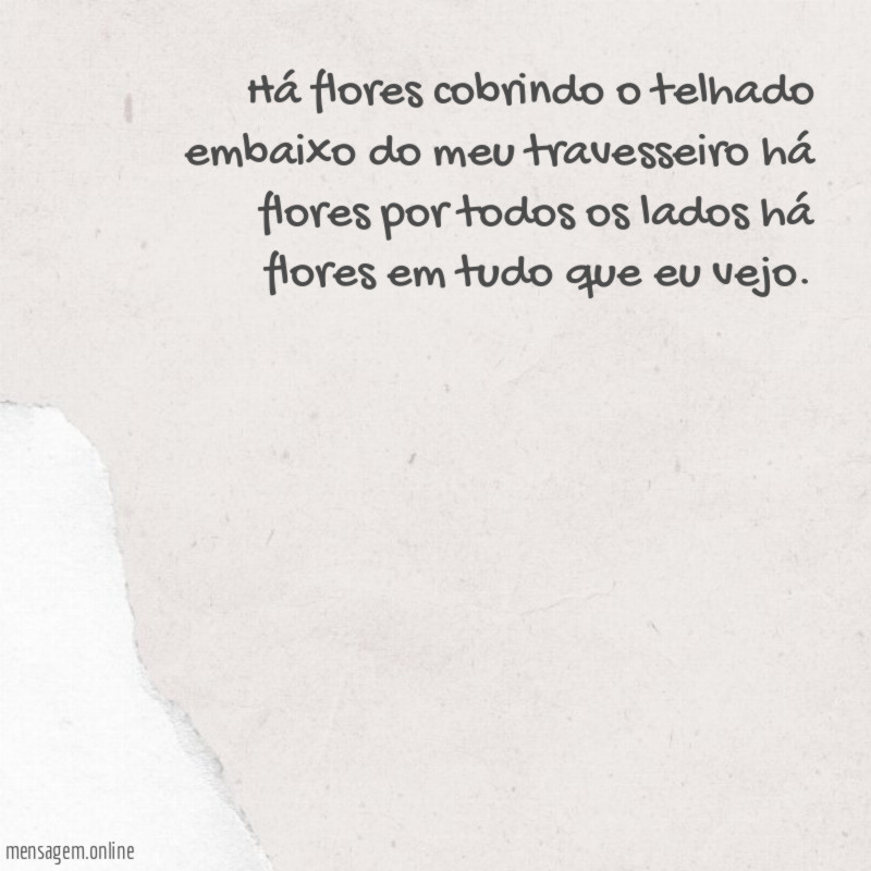 Há flores cobrindo o telhado