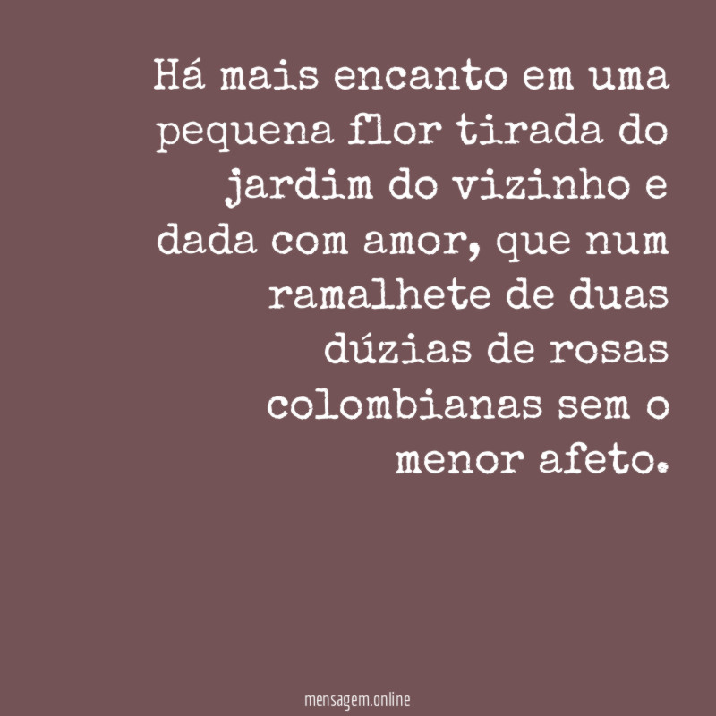Há mais encanto em uma pequena flor tirada