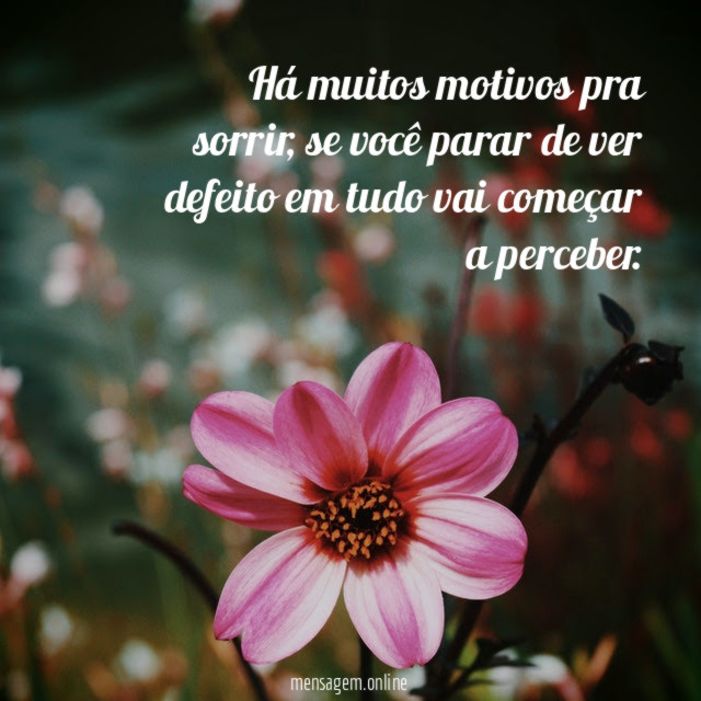 Há muitos motivos pra sorrir